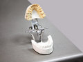 Free Denture Limb Manufacturing Stock Photography - 6863052