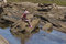 Free Little Girl Fishing Stock Images - 6863054