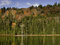 Free Lake Foliage Stock Images - 6864574