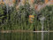 Free Lake Foliage Royalty Free Stock Images - 6865109