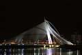 Free Vision Bridge Stock Photography - 6875012