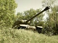 Free Old Tank In The Bushes Royalty Free Stock Photography - 6875527