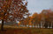 Free Autumn Day In Tatton Park Royalty Free Stock Images - 6870829