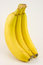 Free Bunch Of Bananas Isolated Stock Image - 6875271