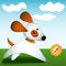 Free Dog Plays With Ball Royalty Free Stock Photography - 6889037