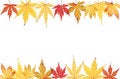 Free Acer Leaf Frame Royalty Free Stock Images - 6894899