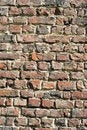 Free Rough Red Bricks And Mortar Royalty Free Stock Image - 6897346