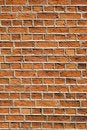 Free Rough Red Bricks And Mortar Stock Images - 6897714