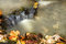 Free Autumn Waterfall Stock Photo - 6894710