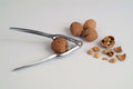 Free Nuts Royalty Free Stock Image - 691916