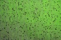 Free Green Toned Spots Royalty Free Stock Photography - 696517