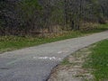 Free Bicycle Path Stock Photo - 699170