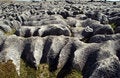 Free Crumbling Rocks Royalty Free Stock Photos - 699908