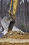 Free Excavator Shovel Royalty Free Stock Photos - 694288