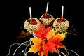 Free Autumn Tradition Royalty Free Stock Images - 6907859