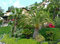 Free Lush Tropical Foliage Stock Photo - 6908000