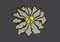 Free Flower Royalty Free Stock Photography - 6909887