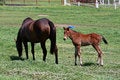 Free New Kid On The Block Stock Image - 6913271