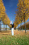 Free In The Park Royalty Free Stock Photography - 6913017
