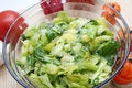 Free Fresh Salad Royalty Free Stock Image - 6927496