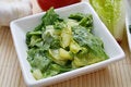 Free Fresh Salad Stock Photos - 6927513