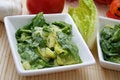 Free Fresh Salad Stock Photos - 6927533