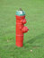Free Red Fire Hydrant Stock Photo - 6921940
