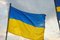 Free Ukrainian Flag Royalty Free Stock Photo - 6922735