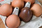 Free Easter Egg Stock Images - 6928824