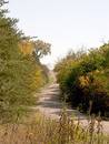 Free Country Road 1 Royalty Free Stock Photo - 75775