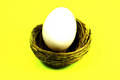 Free Nest Egg 3 Stock Photos - 78983