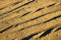 Free Dry Soil Pattern Stock Images - 701104