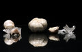Free Garlic With Drop Stock Image - 702001
