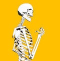 Free Bone 91 Stock Image - 706911