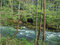Free Forest Cave Royalty Free Stock Photos - 703038