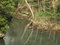 Free Two Geese On The River Stock Image - 703041