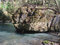 Free Steamboat Rock Royalty Free Stock Images - 703089