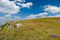 Free Crimea Mountains Royalty Free Stock Photo - 7017835