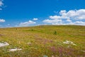 Free Hikers Stock Photo - 7018090