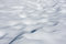 Free First Snow Stock Photography - 7016652