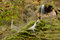 Free Sacred Waterfall. Stock Photos - 7016763