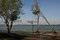 Free Tree Falling Because Of Soil Reosion Royalty Free Stock Images - 7017149