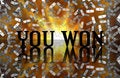 Free The Winning Royalty Free Stock Photos - 7028678