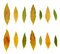 Free Leafs, Autumn Colors Royalty Free Stock Photos - 7023538