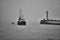 Free Ships In Port Royalty Free Stock Photography - 7028027