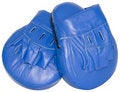 Free Boxing Mitts Stock Photography - 7032972