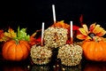 Free Autumn Apples Stock Photo - 7038200
