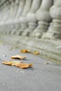 Free Autumn Royalty Free Stock Image - 7044396
