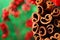 Free Christmas Scent Royalty Free Stock Photography - 7047337