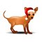 Free Chihuahua In Santa Hat Stock Images - 7049784